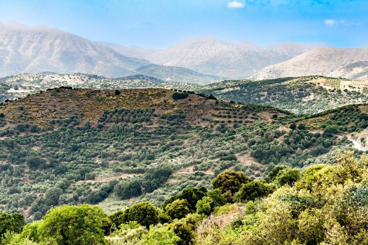 Ξενοδοχείο Μαρίνα Ανώγεια Εξωτερικό φωτογραφία